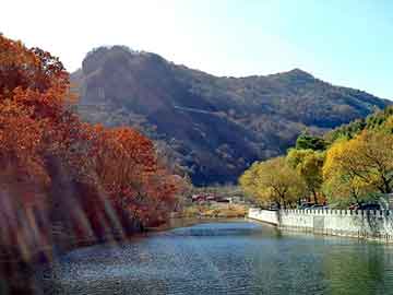 管家婆黑白马报图库，军旅小说